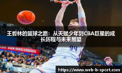 b体育